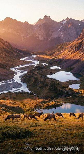 凌晨食堂：深夜投喂诱惑混剪 · 番外